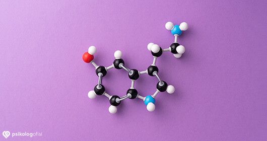 Serotonin (Mutluluk Hormonu) Nedir? Serotonin Ne İşe Yarar ...